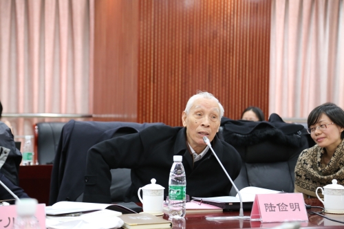 陆俭明发言.jpg